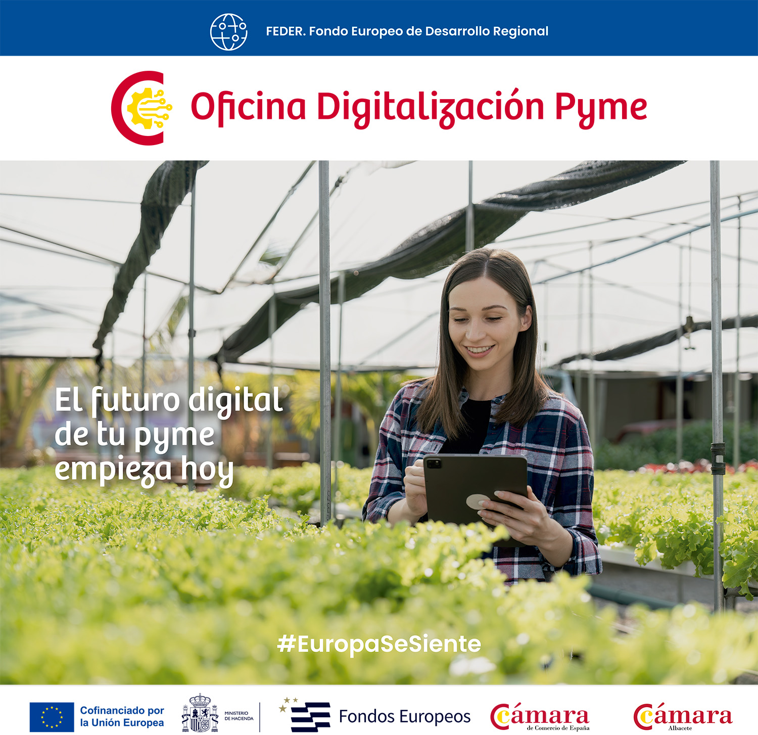 Instagram Oficina Digitalización Pyme CON LOGO CAMARA AB